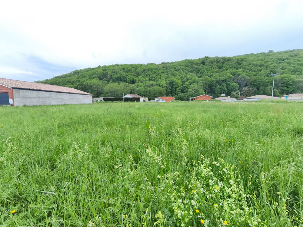 Vente Terrain Terrain Crampagna 916 m² Crampagna