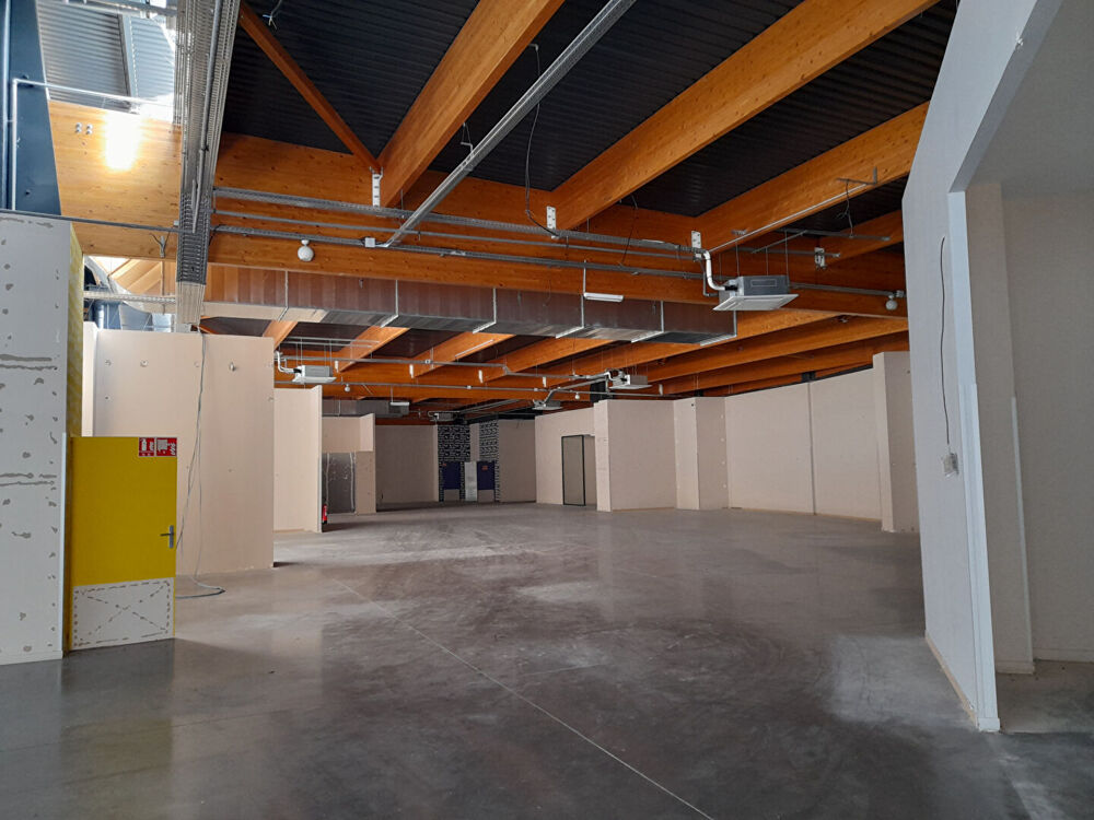   Locaux commerciaux centre Roanne