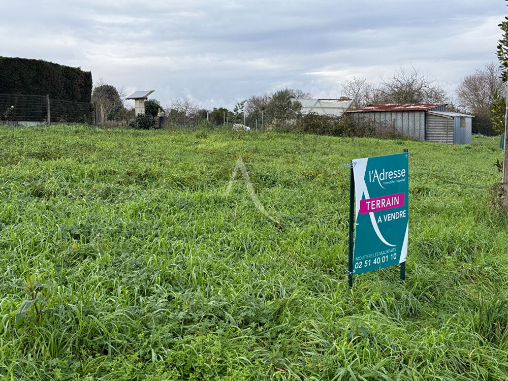Vente Terrain Terrain Avrille 607 m2 Avrille