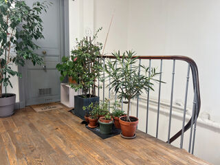  Appartement à vendre 1 pièce 12 m²