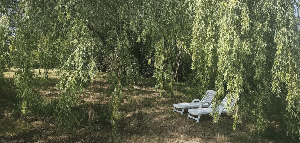 Vente Maison Maison individuelle récente avec garage et magnifique terrain arboré de 2000 m² Durfort lacapelette