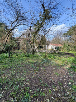  Maison � louer 4 pi�ces 123 m�