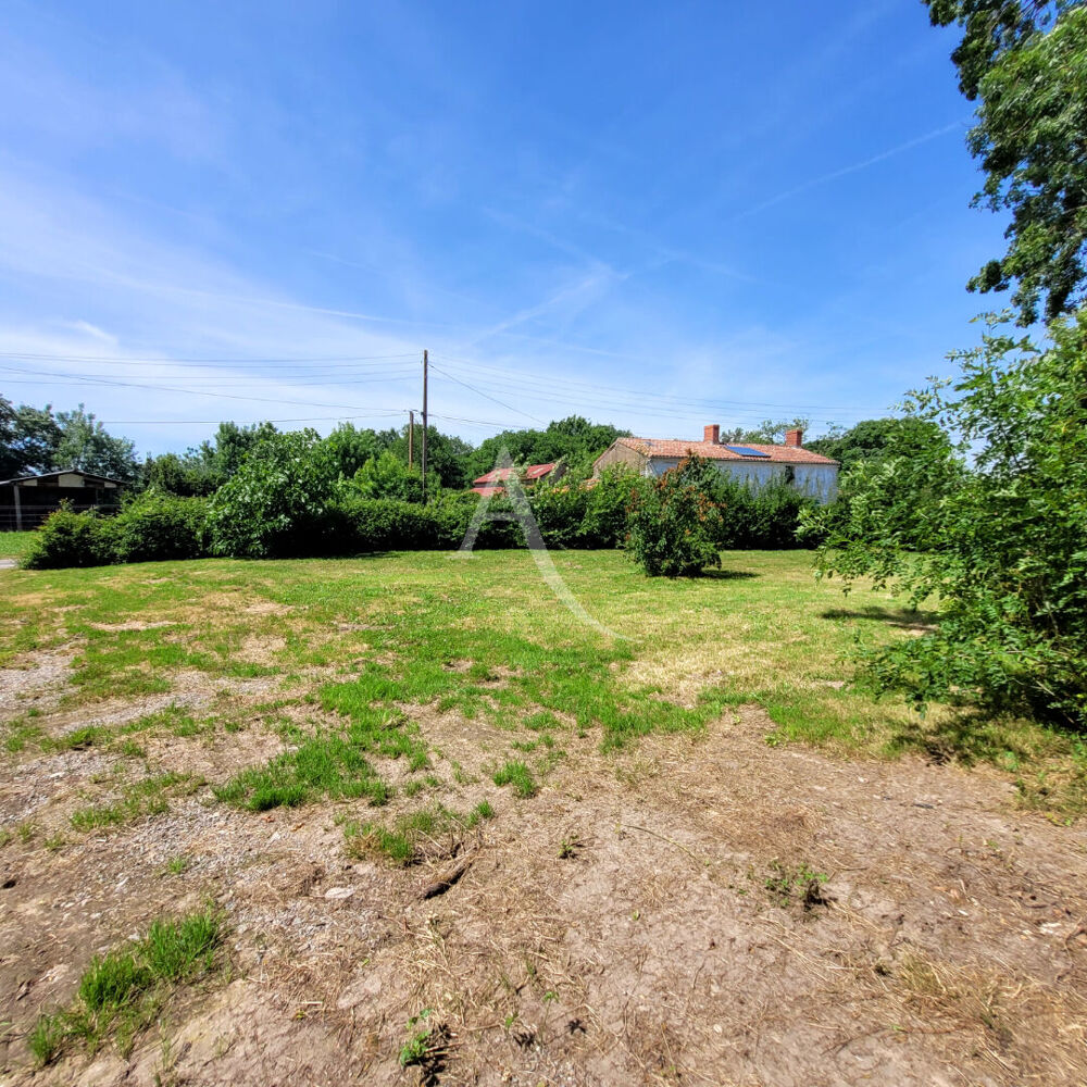 Vente Terrain Terrain Le Champ Saint Pere 451 m2 Le champ saint pere