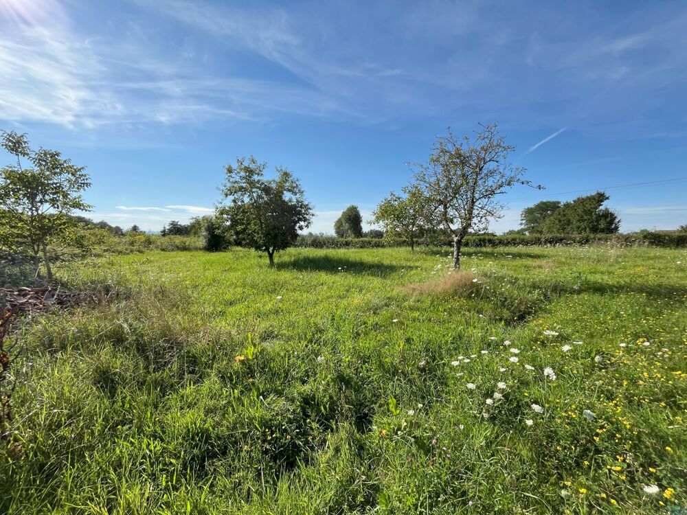 Vente Terrain Terrain constructible 1221 m² - 01190  BOISSEY Boissey
