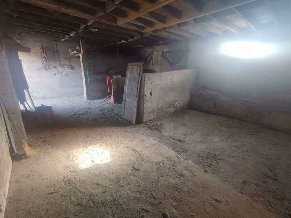 Vente Maison SAINT JEAN DE BRAYE Saint jean de braye