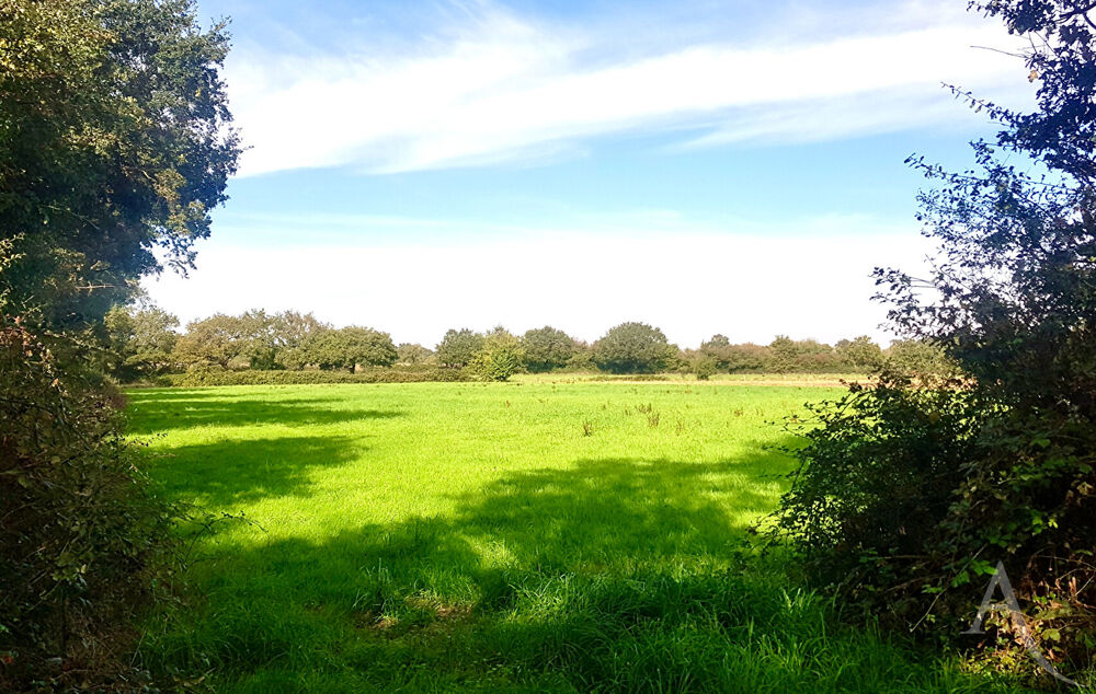 Vente Terrain Terrain de loisirs Montaigu Vendee Montaigu vendee