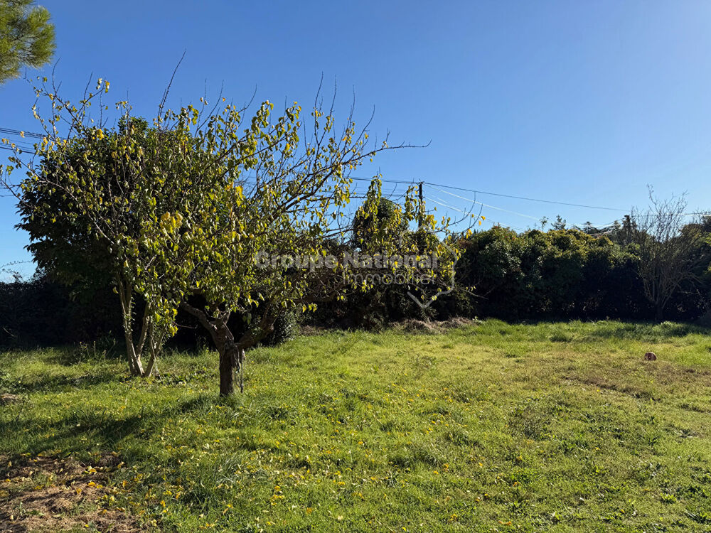 Vente Terrain Cruviers-Lascours terrain constructible de 641m2 Cruviers lascours