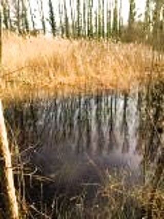  Terrain � vendre 6248 m�