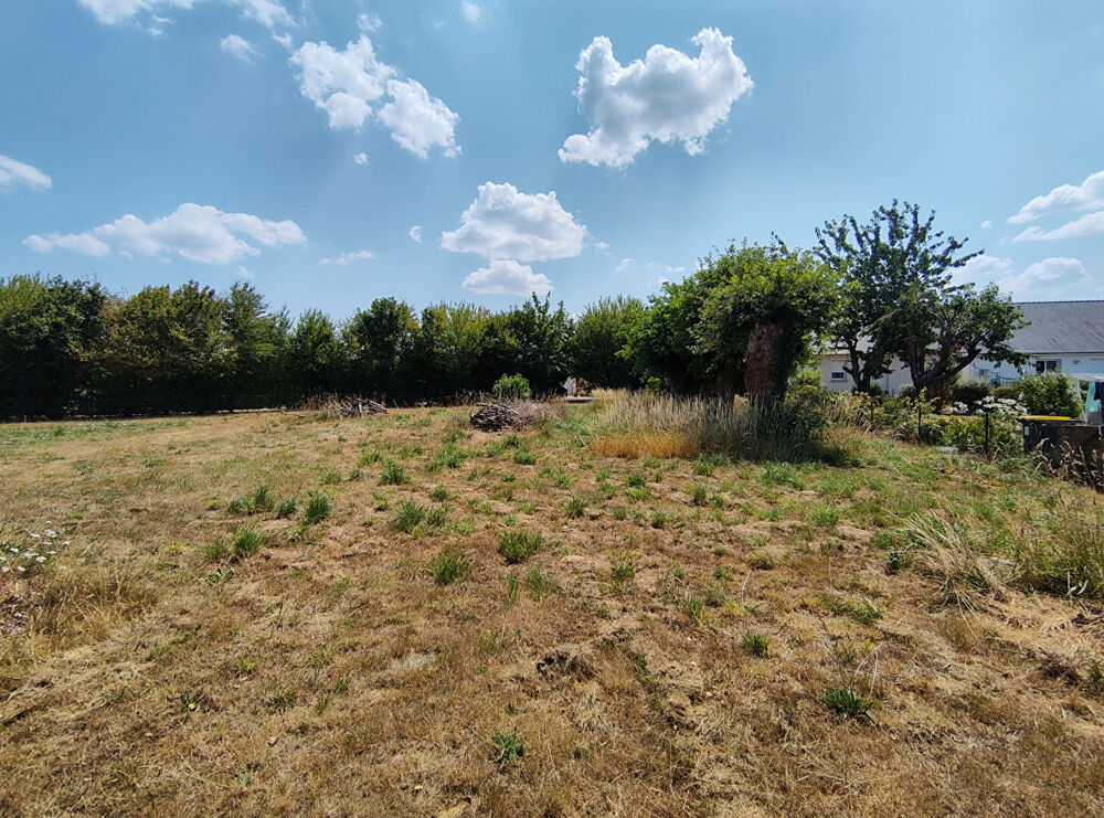 Vente Terrain PLEUCADEUC - Opportunité rare - Terrain constructible de 1290 m². Pleucadeuc