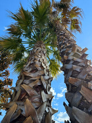  Maison � vendre 5 pi�ces 174 m�