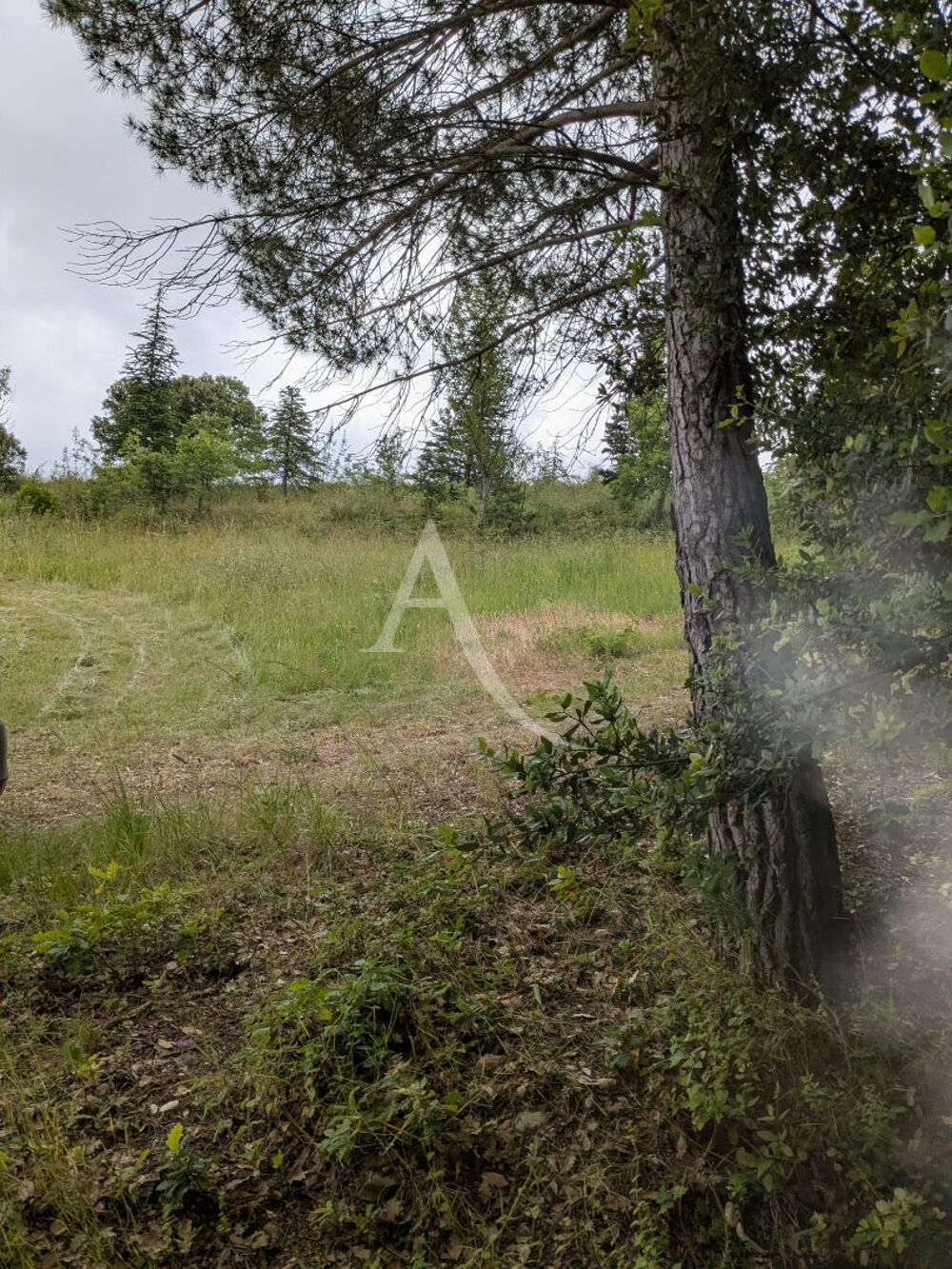 Vente Terrain Terrain Limoux 9305 m2 Limoux