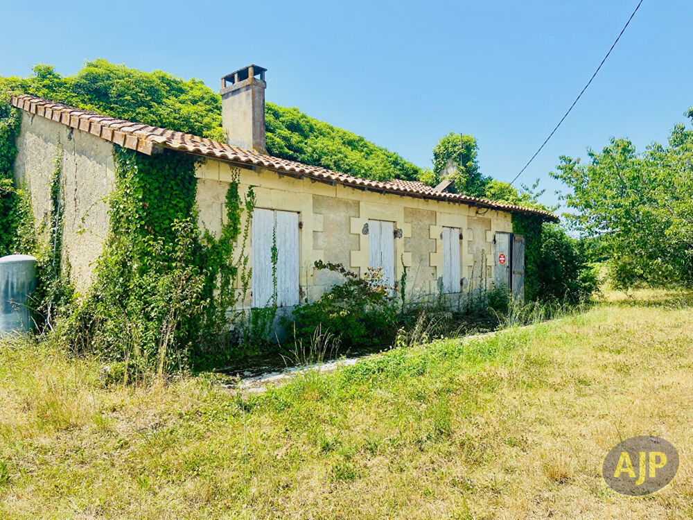 Vente Maison Ruine avec 1ha de terrain au milieu des vignes ! Couqueques