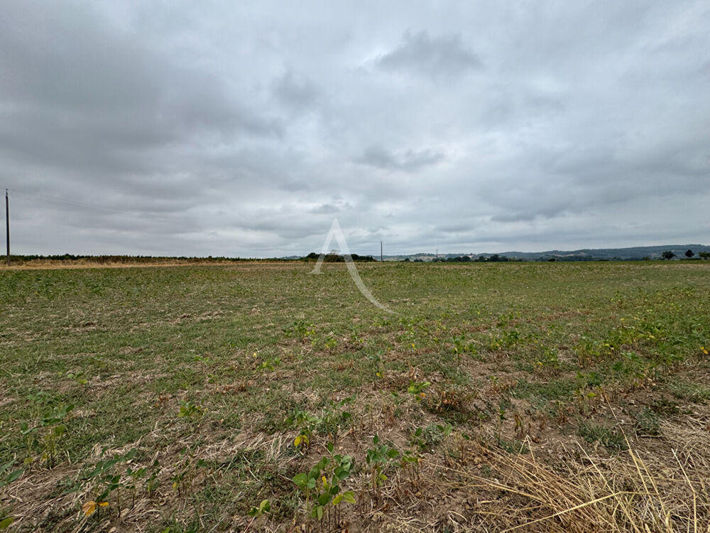 Vente Terrain Lisle-sur-tarn - Terrain de 4 hectares Lisle sur tarn