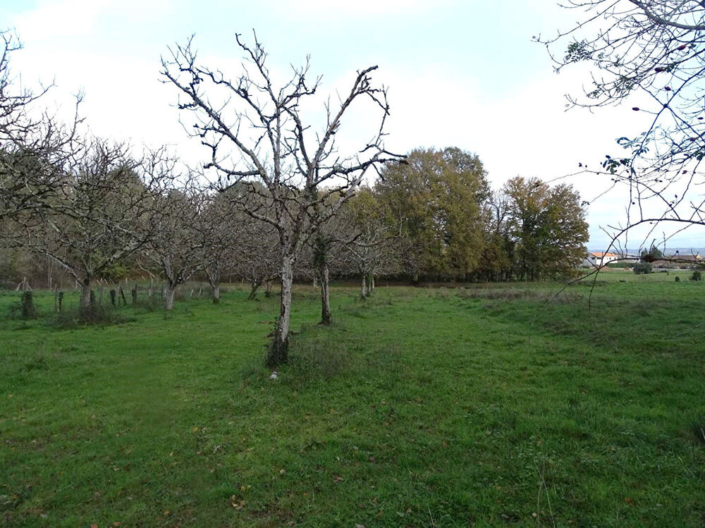 Vente Terrain Terrain Douzillac 3972 m2 Douzillac
