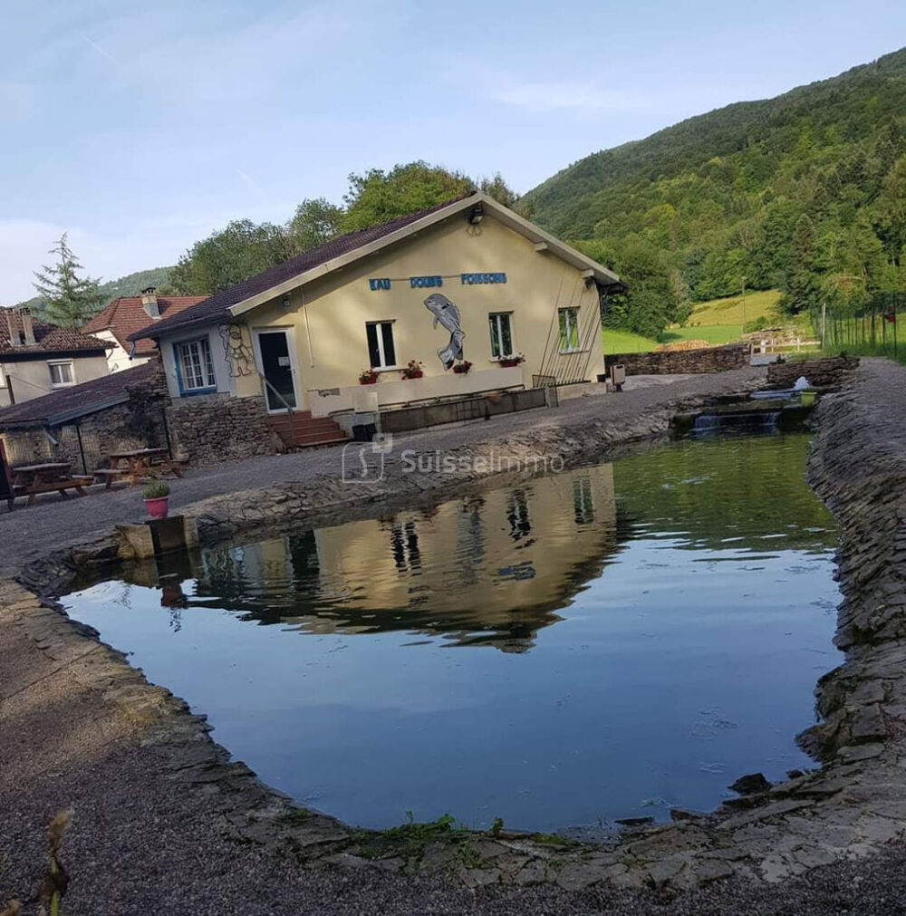 Vente Terrain PISCICULTURE - MURS ET FOND DE COMMERCE - 1.081 Hectare Soulce cernay