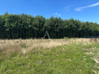  Terrain à vendre 970 m²