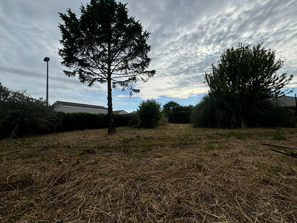 Vente Terrain Terrain 364 m2 - Libre de constructeur - Saint Rogatien St rogatien