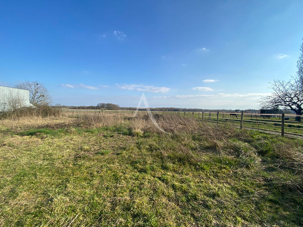 Vente Terrain Terrain Constructible - Mont Pres Chambord Mont pres chambord