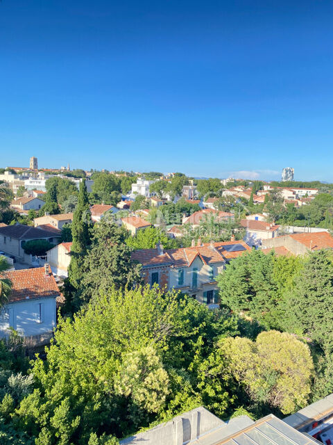  Appartement � louer 3 pi�ces 61 m�