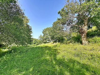  Terrain à vendre 23946 m²
