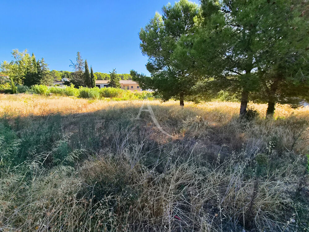 Vente Terrain Bize Minervois -Terrain à bâtir viabilisé de 1000 m2 Bize minervois
