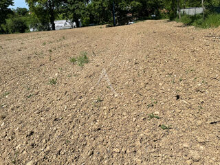  Terrain  vendre 2142 m