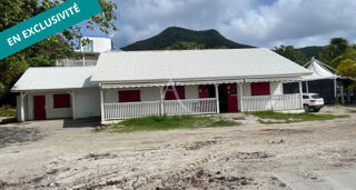  Immeuble � vendre 327 m�