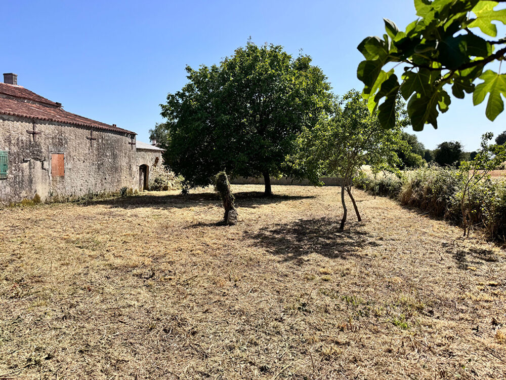 Vente Maison Maison St Hippolyte 5 pièce(s) 131 m2 St hippolyte