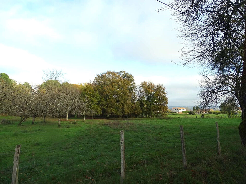 Vente Terrain Terrain Douzillac 3972 m2 Douzillac