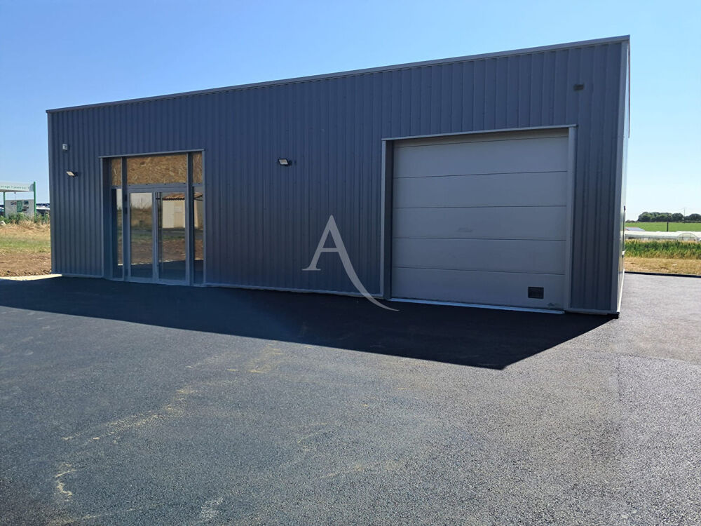   Local commercial neuf 