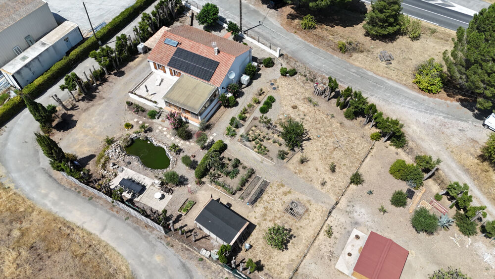 Vente Maison Maison de plain-pied sans travaux avec grand terrain au coeur des vignes Laure minervois