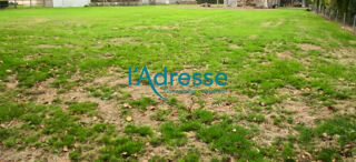  Terrain  vendre 1360 m