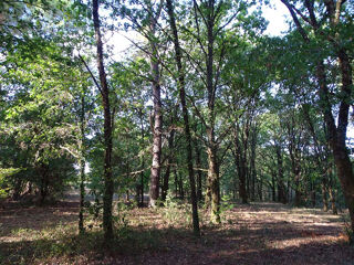  Terrain à vendre 10260 m²