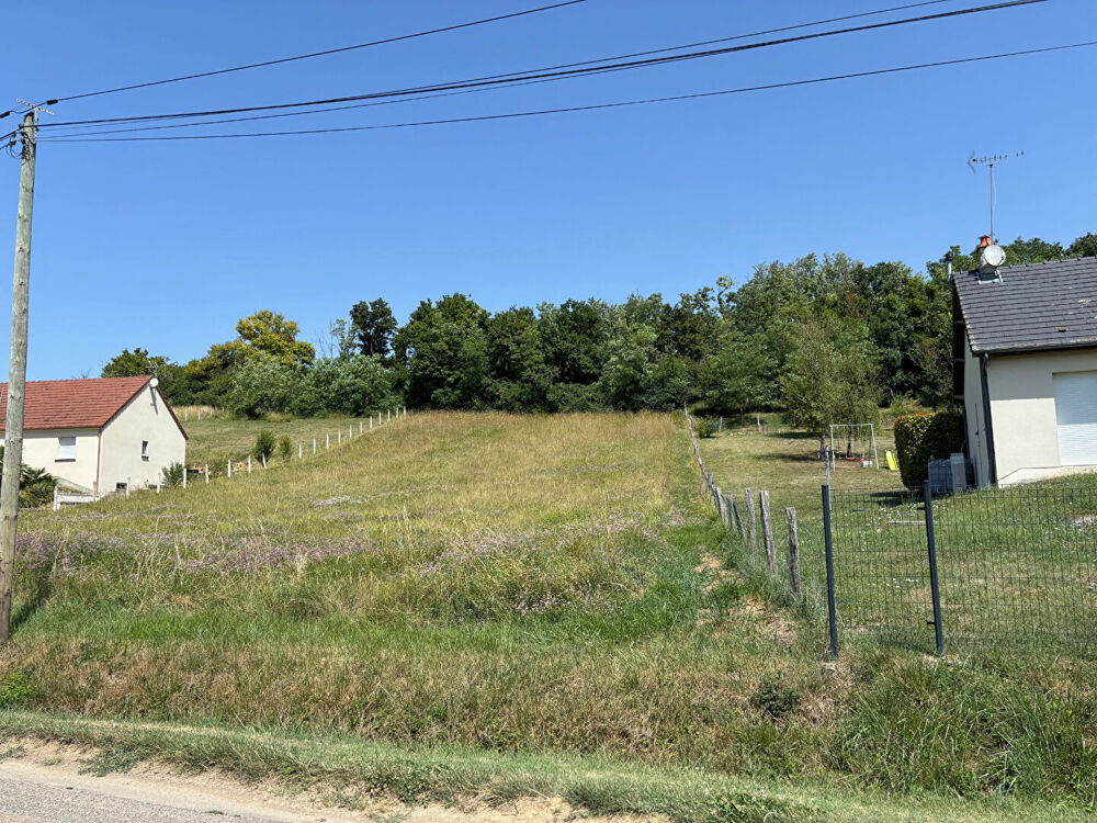 Vente Terrain EN VENTE GERMIGNY SUR LOIRE - TERRAIN A BATIR 2890 m² Germigny sur loire