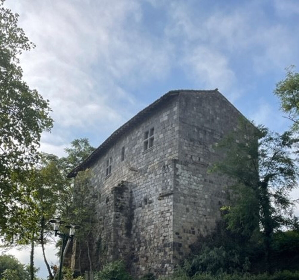 A vendre à Clermont Dessous château médiéval ISMH