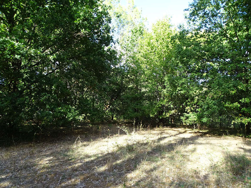 Vente Terrain Terrain Saint Laurent Des Hommes 5000m2 (dont 1400m² constructibles) Saint laurent des hommes