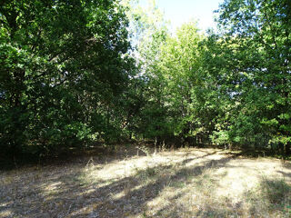  Terrain à vendre 5000 m²