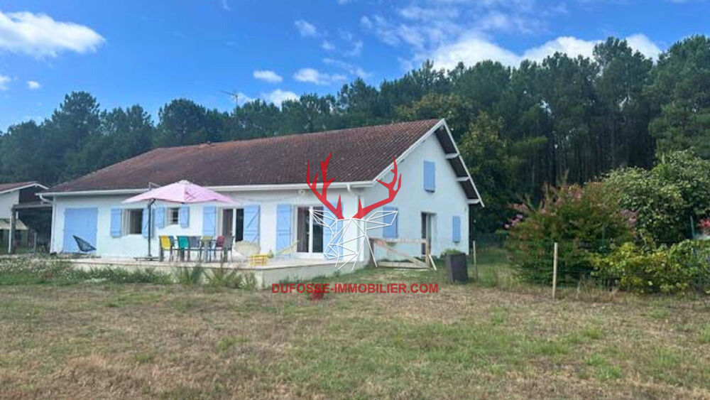 Propriété équestre de 5 hectares