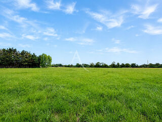  Terrain à vendre 