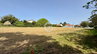  Terrain à vendre 1000 m²