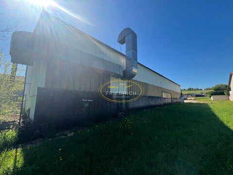 BATIMENTS INDUSTRIELS AVEC BUREAUX 160000 55300 Saint mihiel