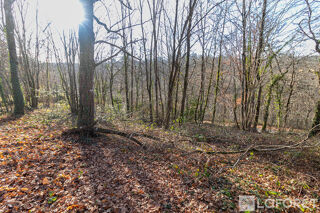  Terrain à vendre 1338 m²