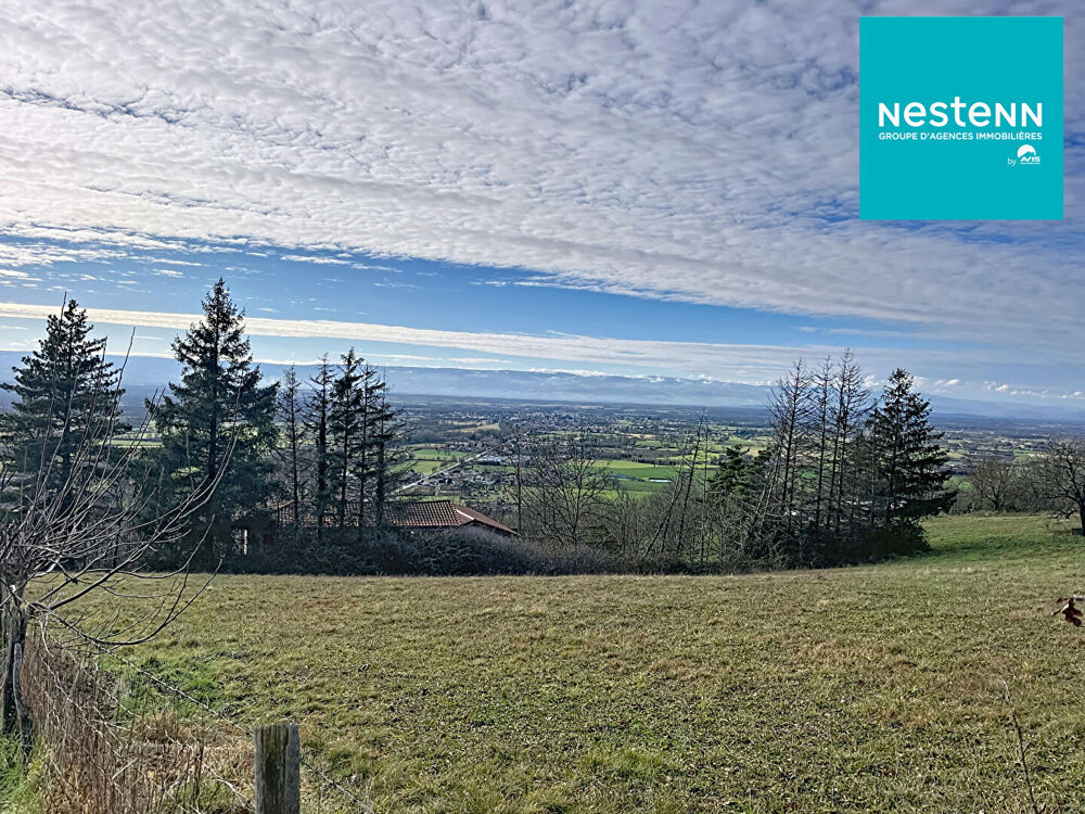 Maison + dépendances Bellegarde En Forez 5 pièce(s) 98 m2- Terrain 5415 m²