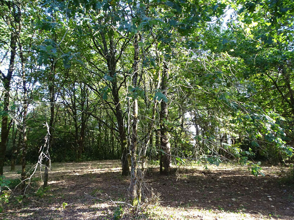 Vente Terrain Terrain Saint Laurent Des Hommes 10260 m2 (2700m² constructibles) Saint laurent des hommes