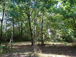  Terrain à vendre 10260 m²