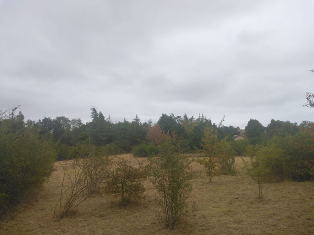 Vente Terrain TERRAIN CONSTRUCTIBLE D'UNE SUPERFICIE DE 3577m² à MIRAMONT D''ASTARAC Miramont d astarac