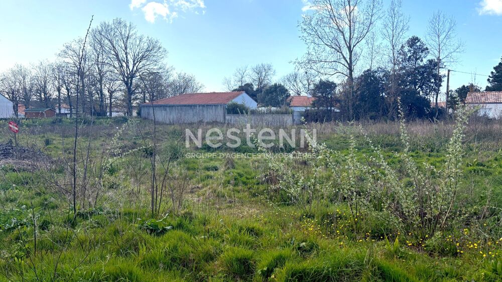 Vente Terrain Beau terrain de plus 2500m² - Libre de Constructeur ! Saint hilaire de riez