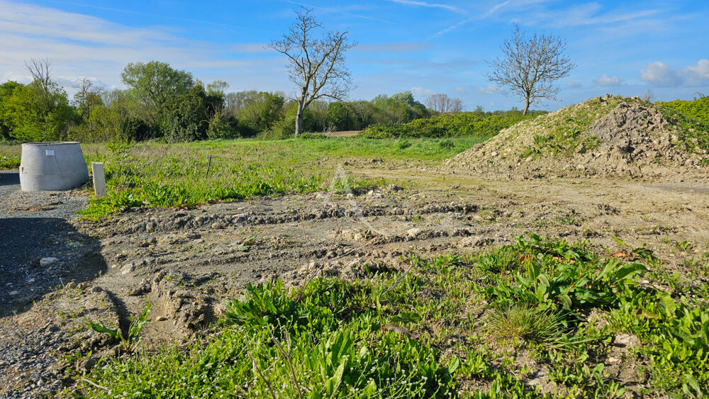 Vente Terrain Terrain Loire Les Marais 593 m2 Loire les marais
