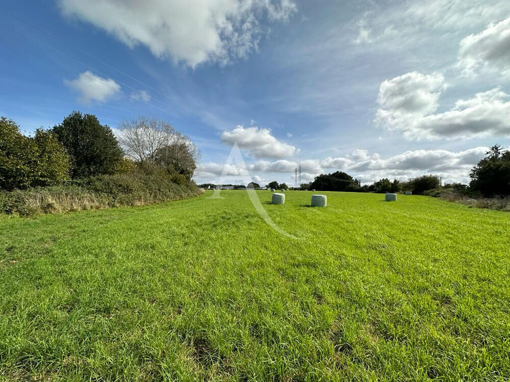 Vente Terrain Terrain Mayenne 5349 m² Mayenne