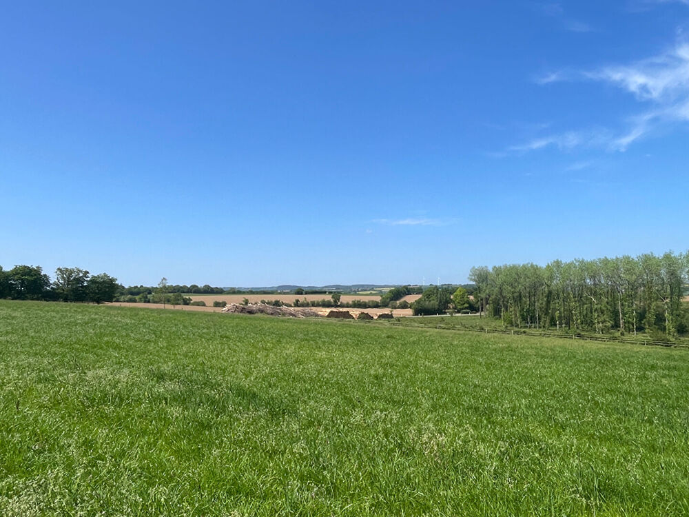 Finistère : Proche Huelgoat. Superbe domaine équestre. 3 maisons, un manège et 5 boxes. 3,5 hectares.